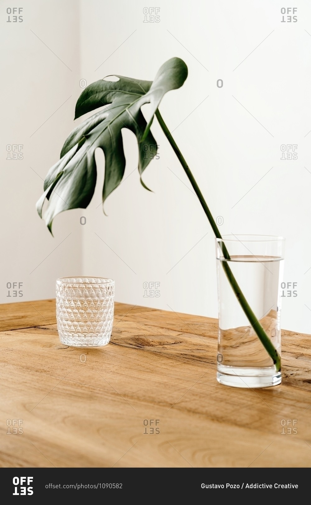 Minimalist interior with monstera stem arranged in vase with water near glass cup on wooden table