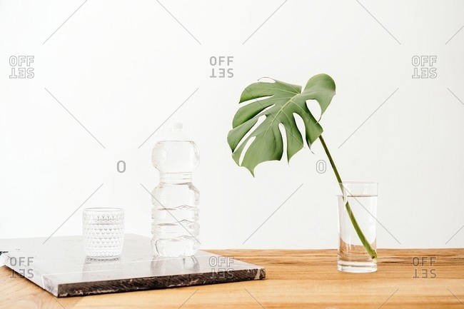 Fresh green monstera stem in vase arranged on wooden table near full bottle of water and glass against white wall in room with minimalist design