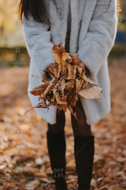 Crop unrecognizable female standing with pile of dried fallen leaves in autumn park
