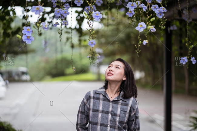 Tender Asian female looking at blooming flowers hanging in lush botanic garden on East Coast