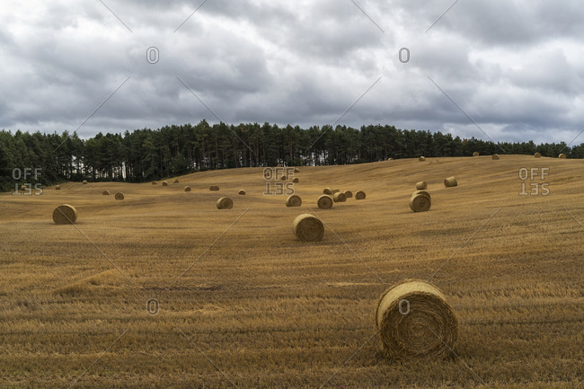 Scenery of dried field with haystacks on cloudy day in countryside in Scotland