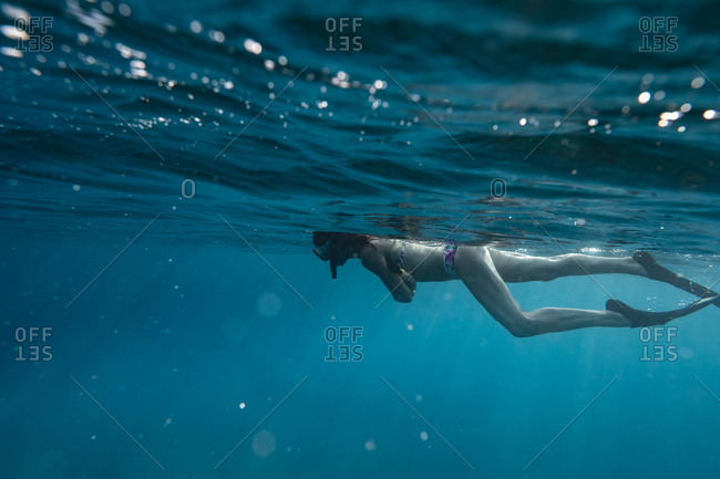 Female snorkelers on the surface of the ocean in hawaii