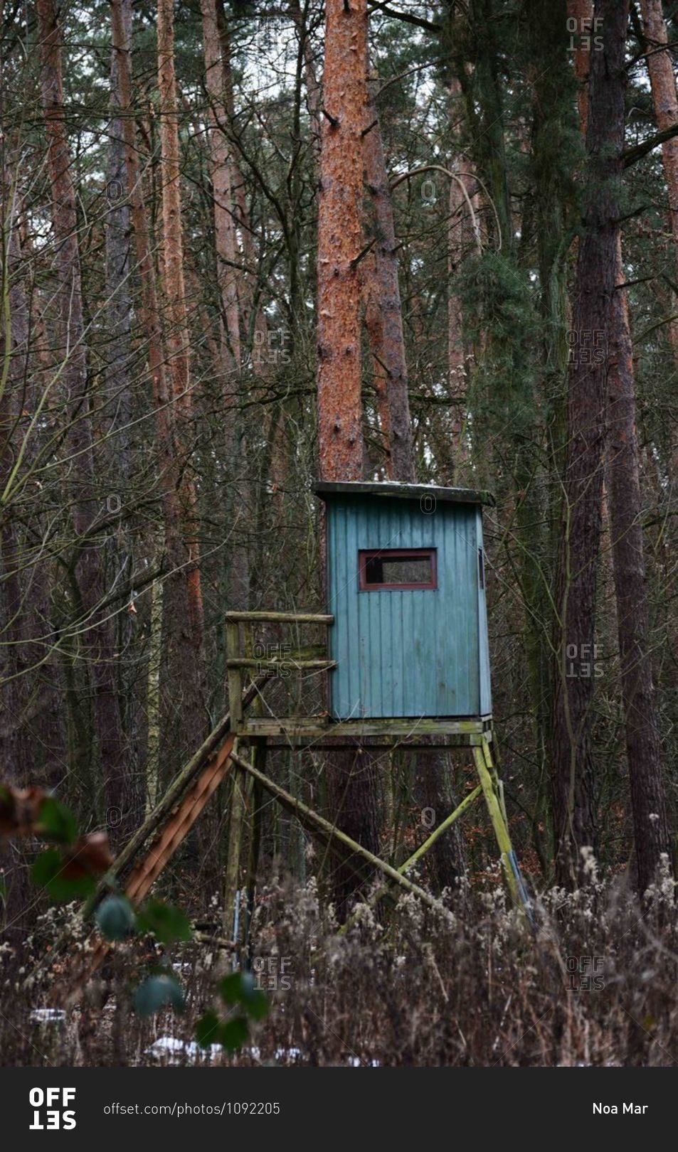 Deer hunting blind on a tree stand in the forest