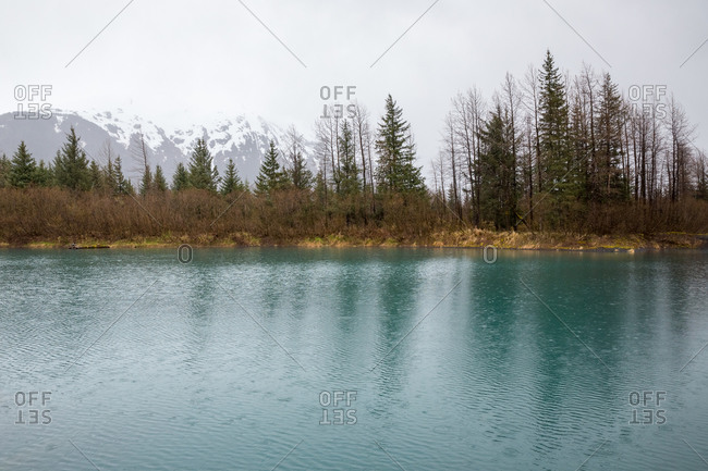 Turquoise pond, pine forest and snowy mountain near portage, alaska