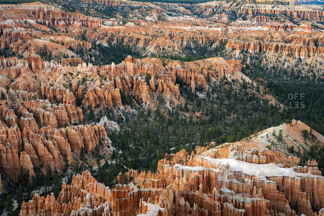 Forest in Bryce canyon surrounded by hoodoos, Bryce point, Bryce canyon national park, Utah, usa