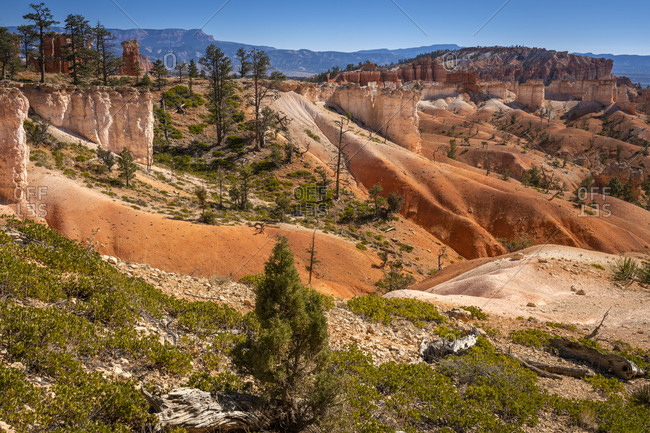 Scenic view of rock formations from queens garden trail, Bryce canyon national park, Utah, usa