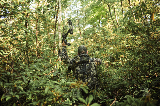 Bow hunting in the appalachian mountains