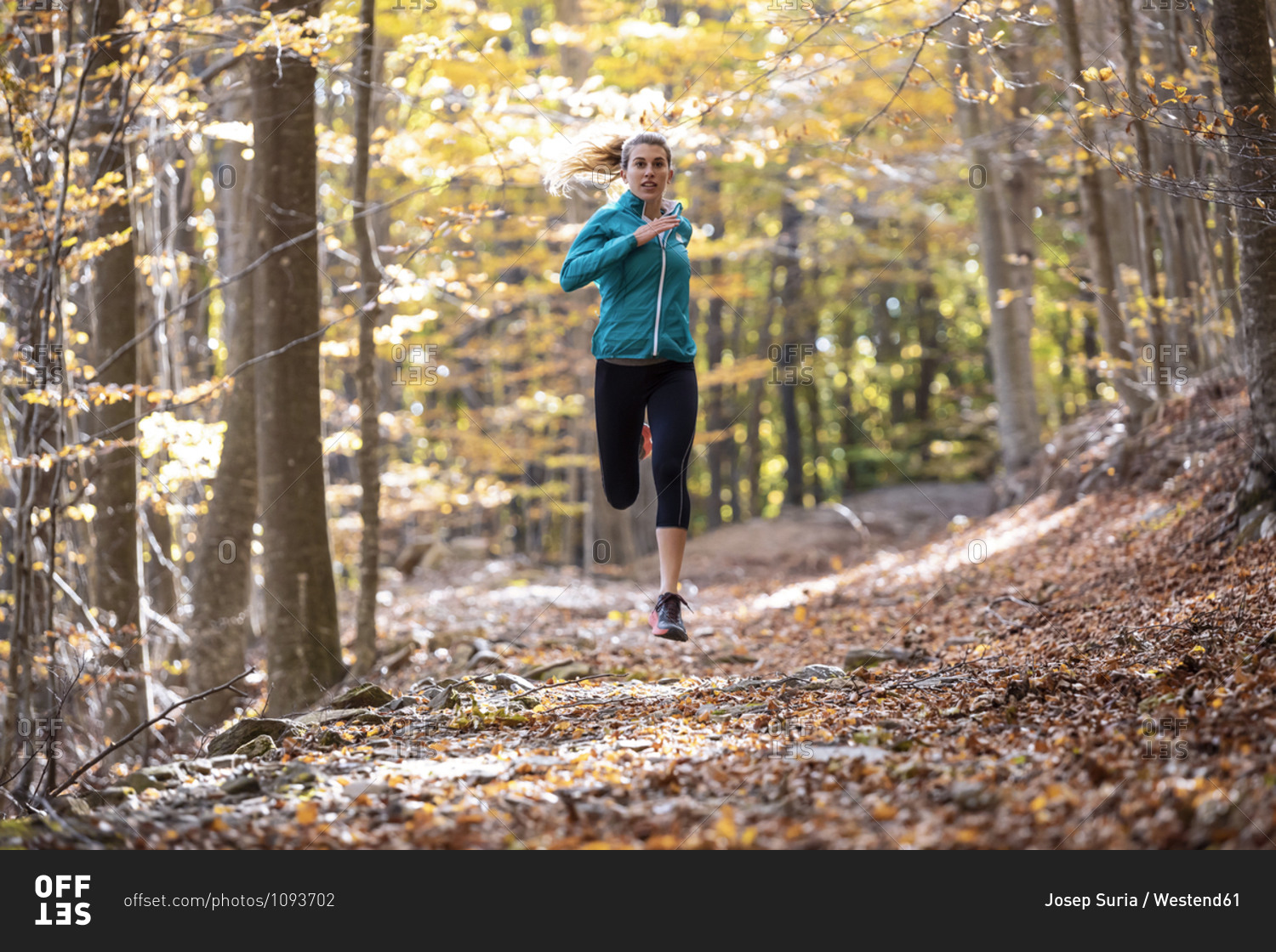 Young sportswoman running on forest path