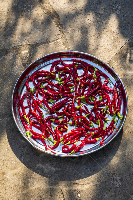 Cultivated red chilies in plate outdoors