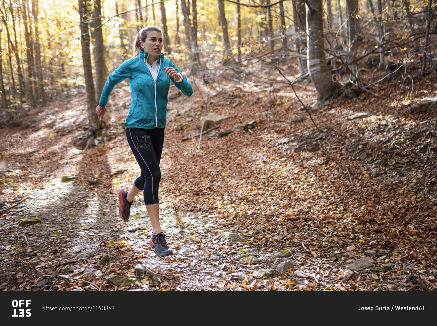 Young sportswoman practicing while running on forest path
