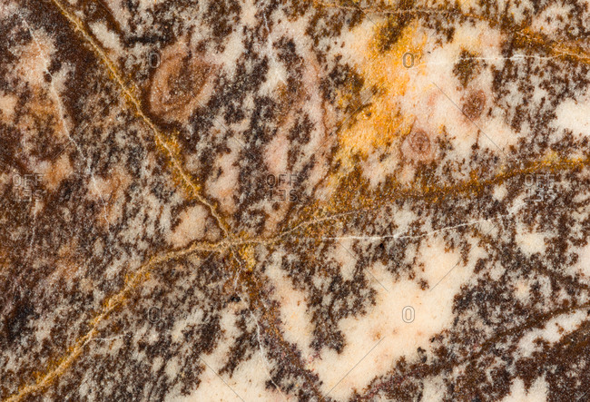 Macro photograph of a slab of polished Outback jasper from Western Australia. Jasper is a form of chalcedony.