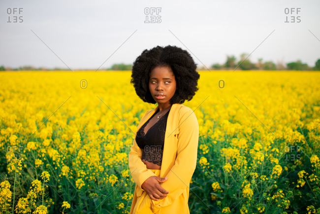 Pensive young African American female with curly hair dressed in black and yellow clothes looking away while standing amidst bright yellow flowers in blooming field