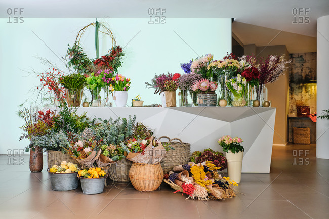 Colorful assorted flowers and plants in baskets and vases placed in spacious floral shop