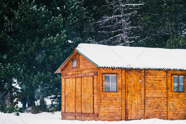 Small wooden cabin located in snowy forest with lush green coniferous trees on winter day