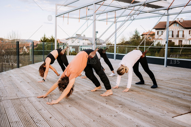 Group of people in sportswear leaning on straps and practicing yoga in Parivrtta Adho Mukha Svanasana on wooden terrace