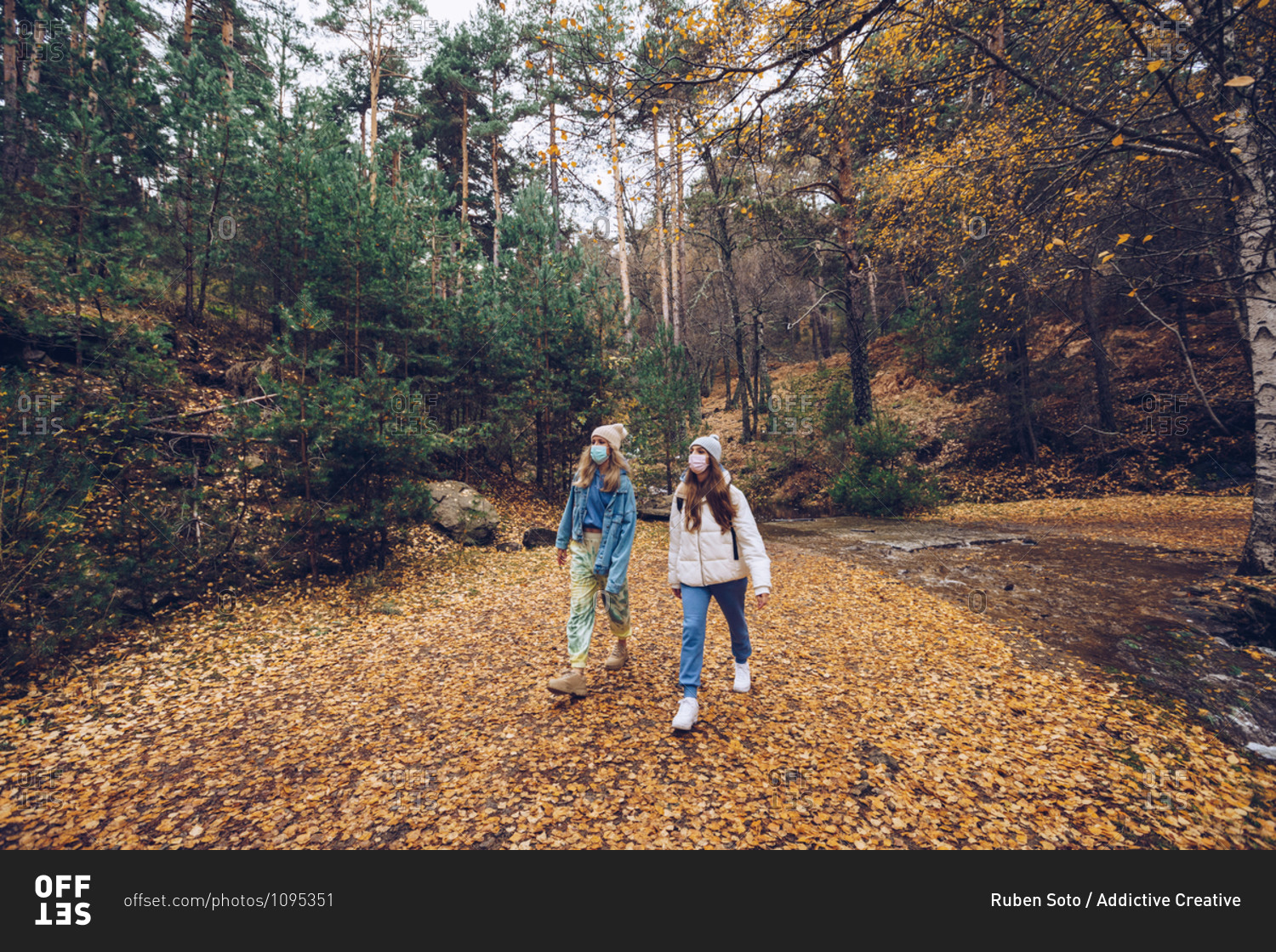 Young female explorers with face masks walking in autumn woods near river during coronavirus pandemic