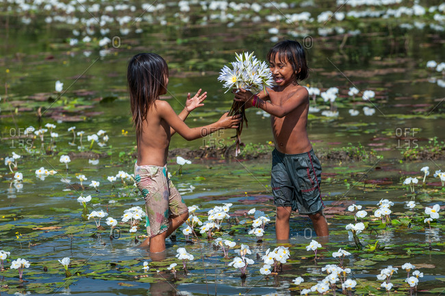 Water Lilly Pond, Kompong Thom, Cambodia - 29 December 2010: Two Children Share Wild Water Lilies.