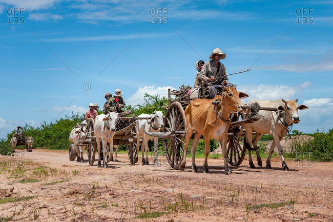 Farmers On Cow Cart, On The Road, Cambodia - 11 June 2012: Local Khmer Farmers Collect Wood.
