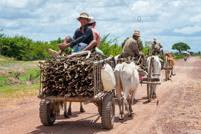 Farmers On Cow Cart, On The Road, Cambodia - 11 June 2012: Local Khmer Farmers Collect Wood.