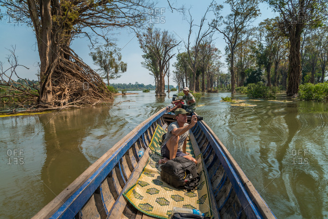 Preah Rumkel, Stung Treng Ramsar Site, Cambodia - 17 February 2013: Tourist Passes Amazing River Swept Roots Of Trees Exposed In Dry Season.