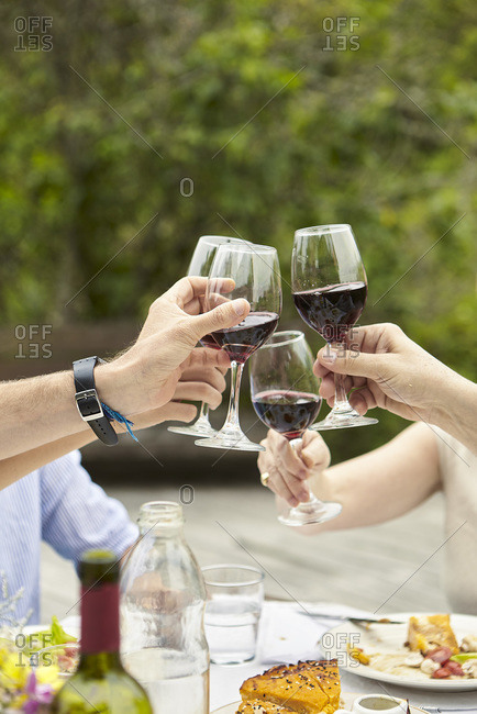 Happy Family toasting wine glasses