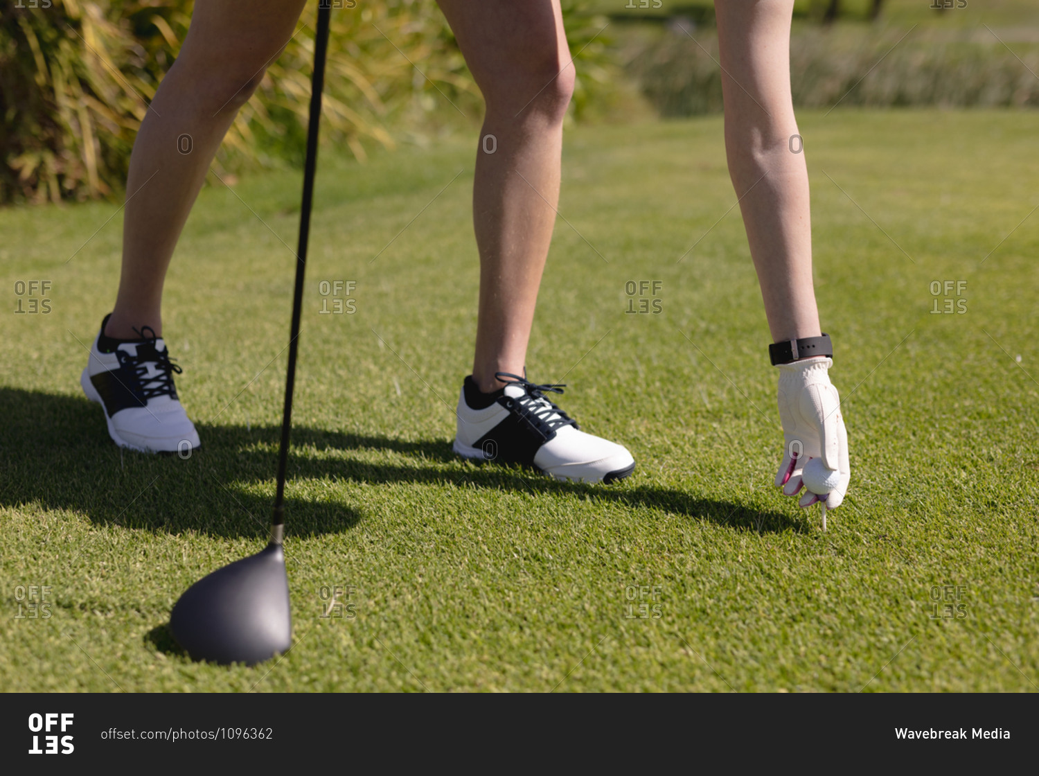 Low section of caucasian woman playing golf placing ball before taking a shot. sport leisure hobbies golf healthy outdoor lifestyle.