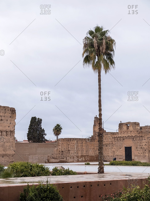 Marrakesh, MOROCCO - January 2017: Palm tree at Badi Palace