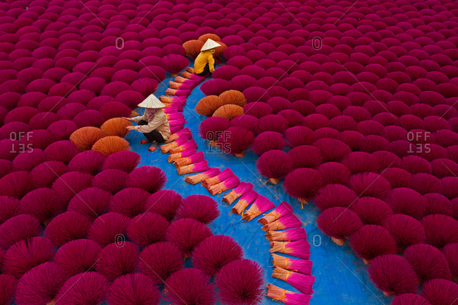 Aerial view of incense workers sits surrounded by thousands of incense sticks, where the sticks have been traditionally made for hundreds of years in Quang Phu Cau, Hanoi, Vietnam.