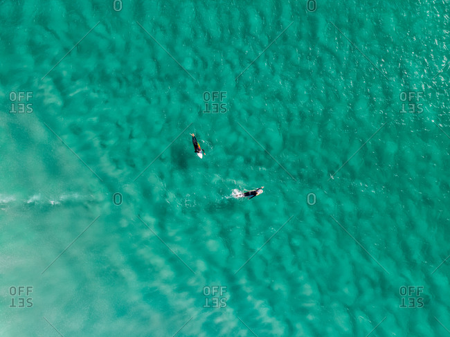 Aerial view of surfers in clear Atlantic Ocean at Camps Bay beach, Cape Town, South Africa.