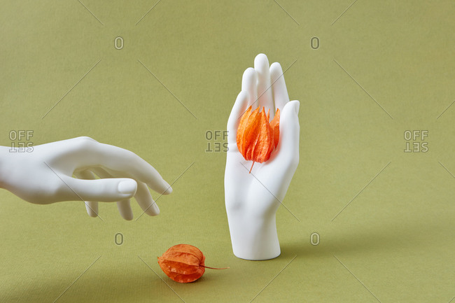 Plaster hands with beautiful decorative yellow physalis flowers composition against light green background with copy space