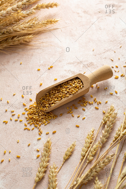 Organic wheat grain in wooden spoon