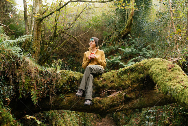 Carefree female adventurer sitting with cup of hot drink on mossy tree trunk in green forest and enjoying nature during travel
