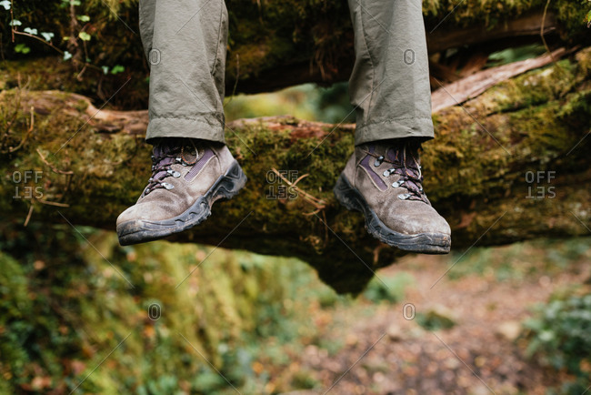 Legs of crop explorer in trekking boots sitting on mossy ground in forest during summer adventure
