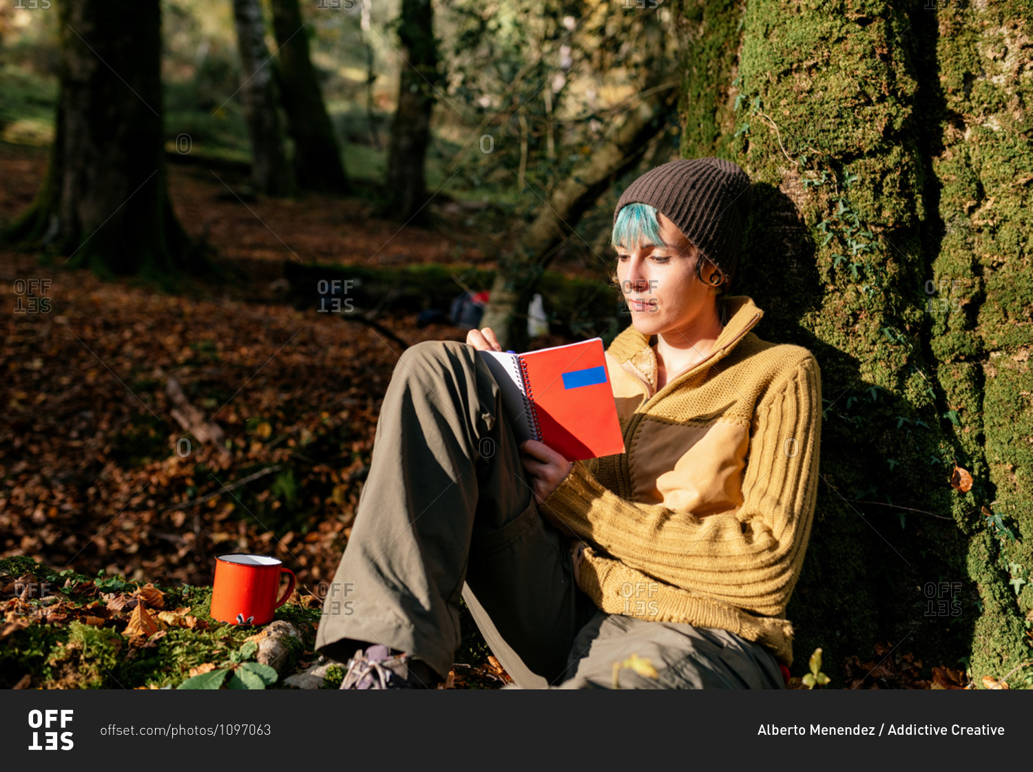 Peaceful female traveler leaning on tree trunk and writing in diary while relaxing in woods during summer journey
