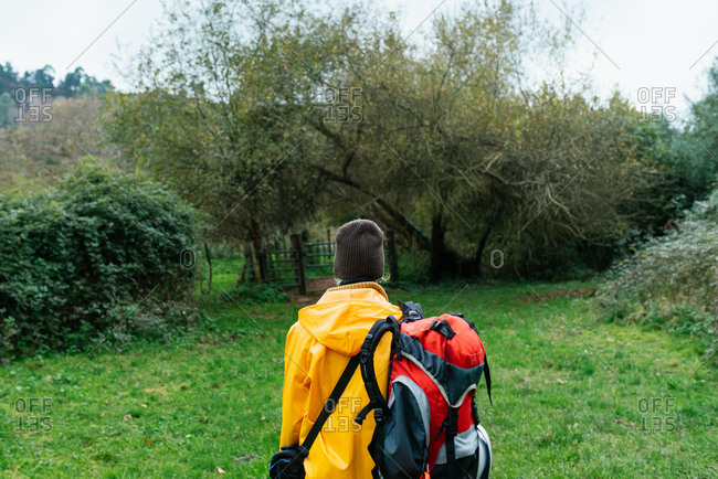Back view of anonymous traveling backpacker in outerwear standing on green meadow in woods during vacation in Asturias in autumn