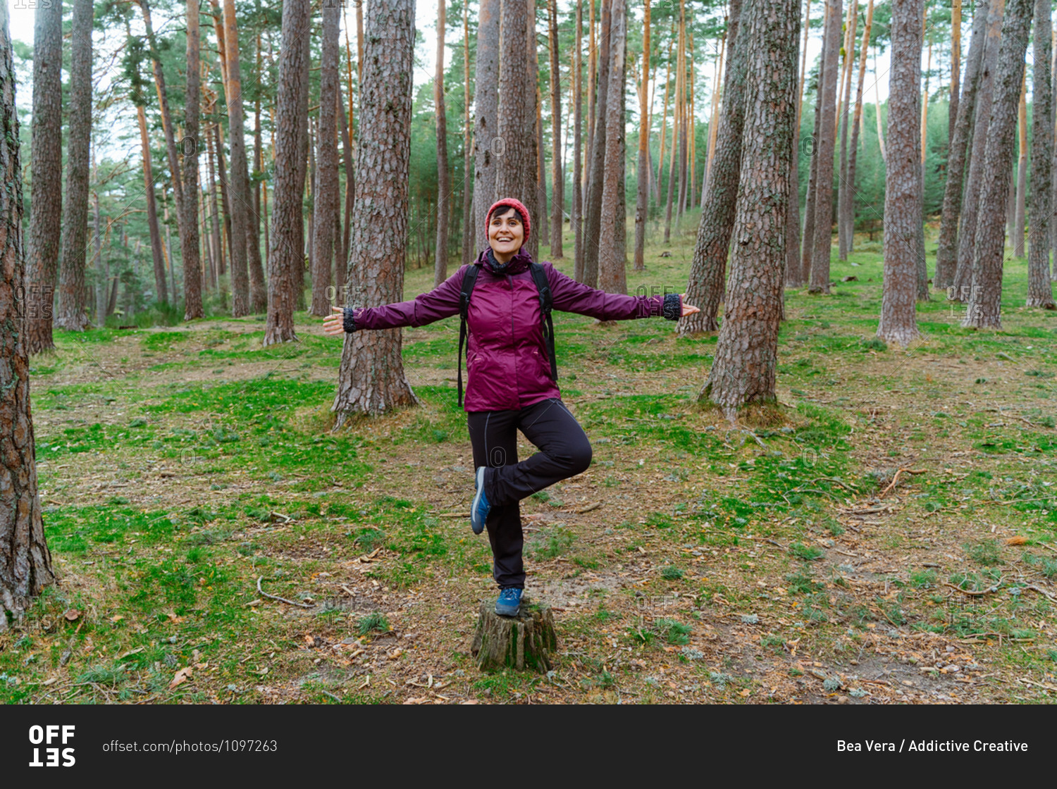 Full body of cheerful young female hiker in warm outfit standing on one leg on stump among coniferous trees while enjoying autumn adventure in Sierra de Madrid in Spain