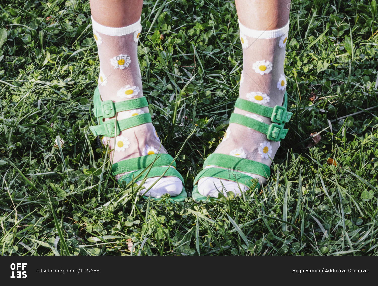 Legs of crop anonymous female wearing green sandals and socks with chamomile flowers print while standing on lawn in summer on sunny day