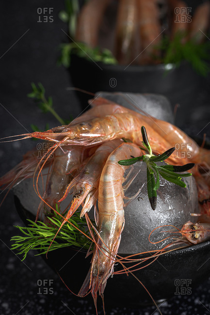 Raw prawns placed in bowl with ice cubes and green herbs on dark table in kitchen of restaurant
