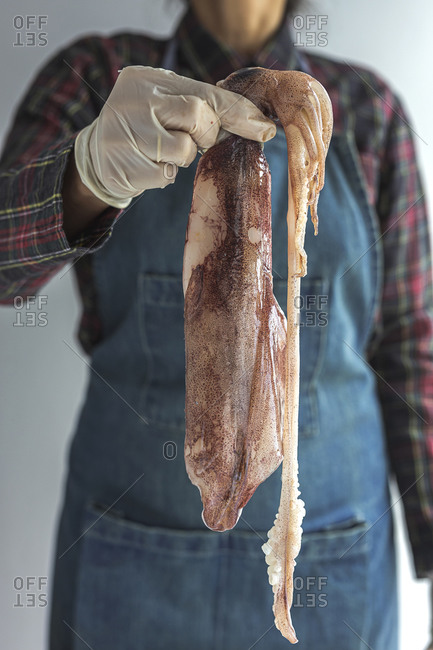 Unrecognizable crop chef wearing apron and gloves standing with raw squid meat in studio