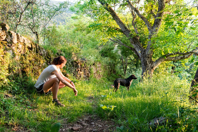 Side view of content female owner stroking adorable loyal dog while relaxing together on sunny day in green woods