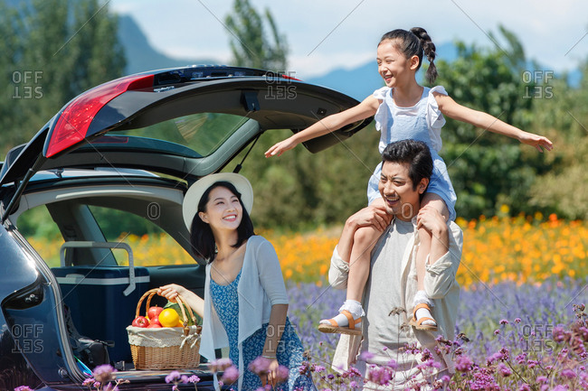 Little girl on father's shoulders in a field of flowers while mother gets a picnic basket from the car