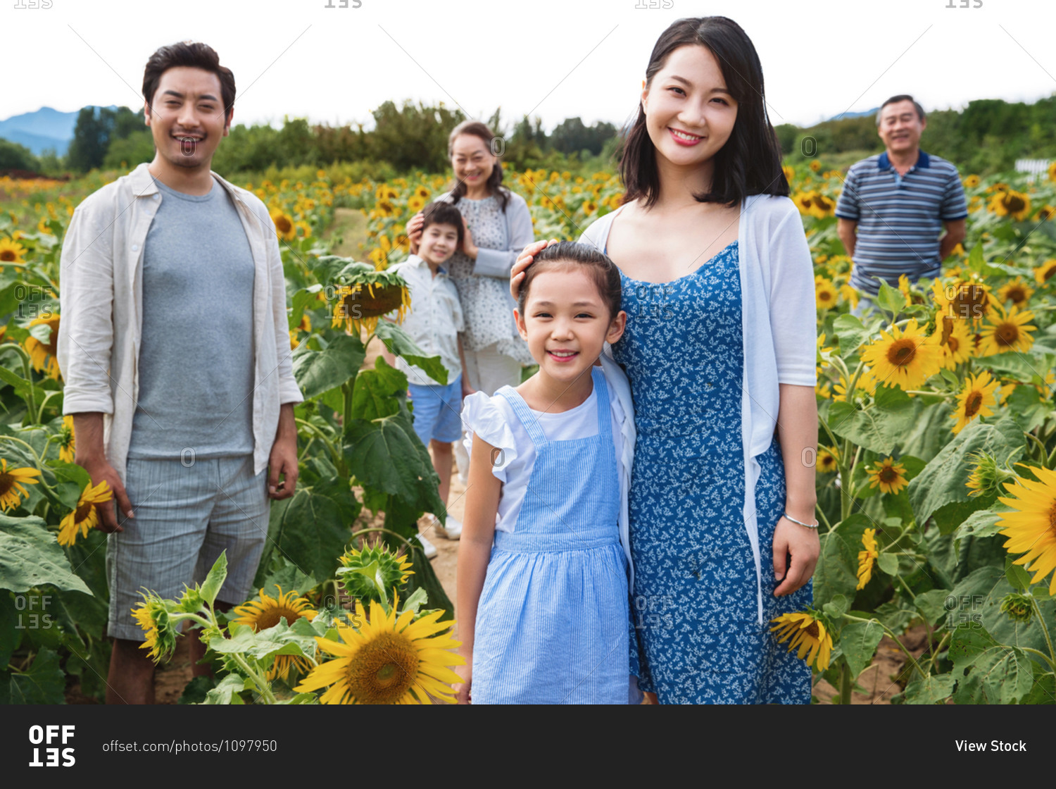 Beautiful Asian multi-generational family standing in a field of sunflowers