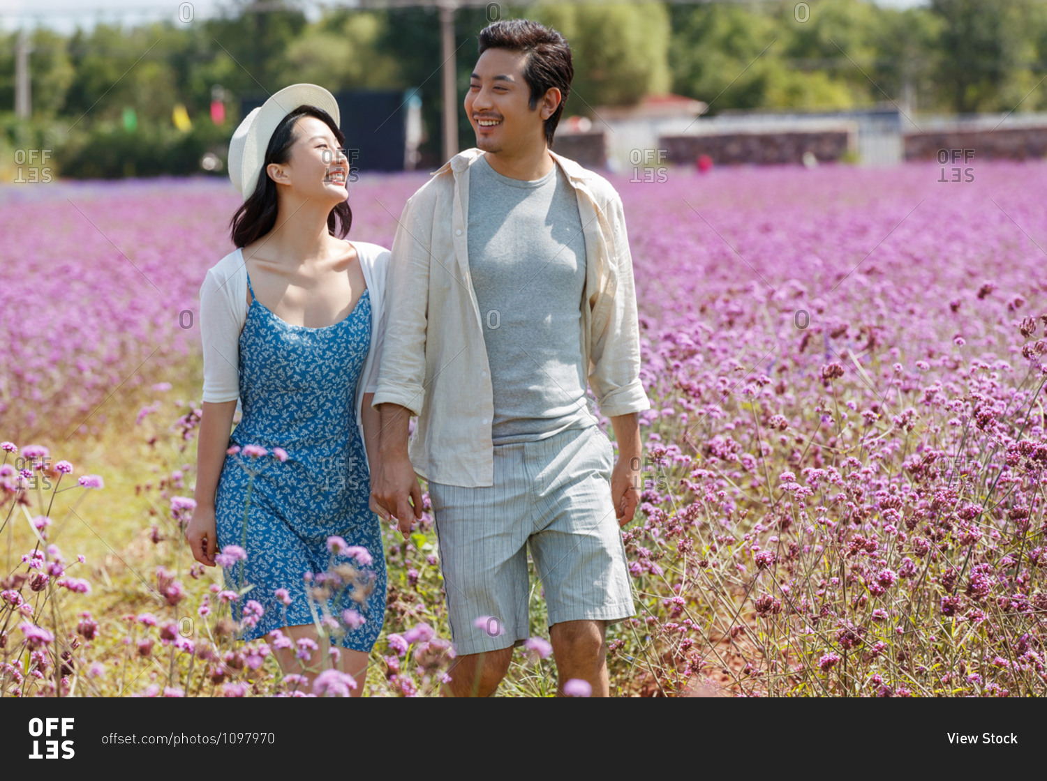 Young Asian couple walking hand in hand in a field of purple flowers