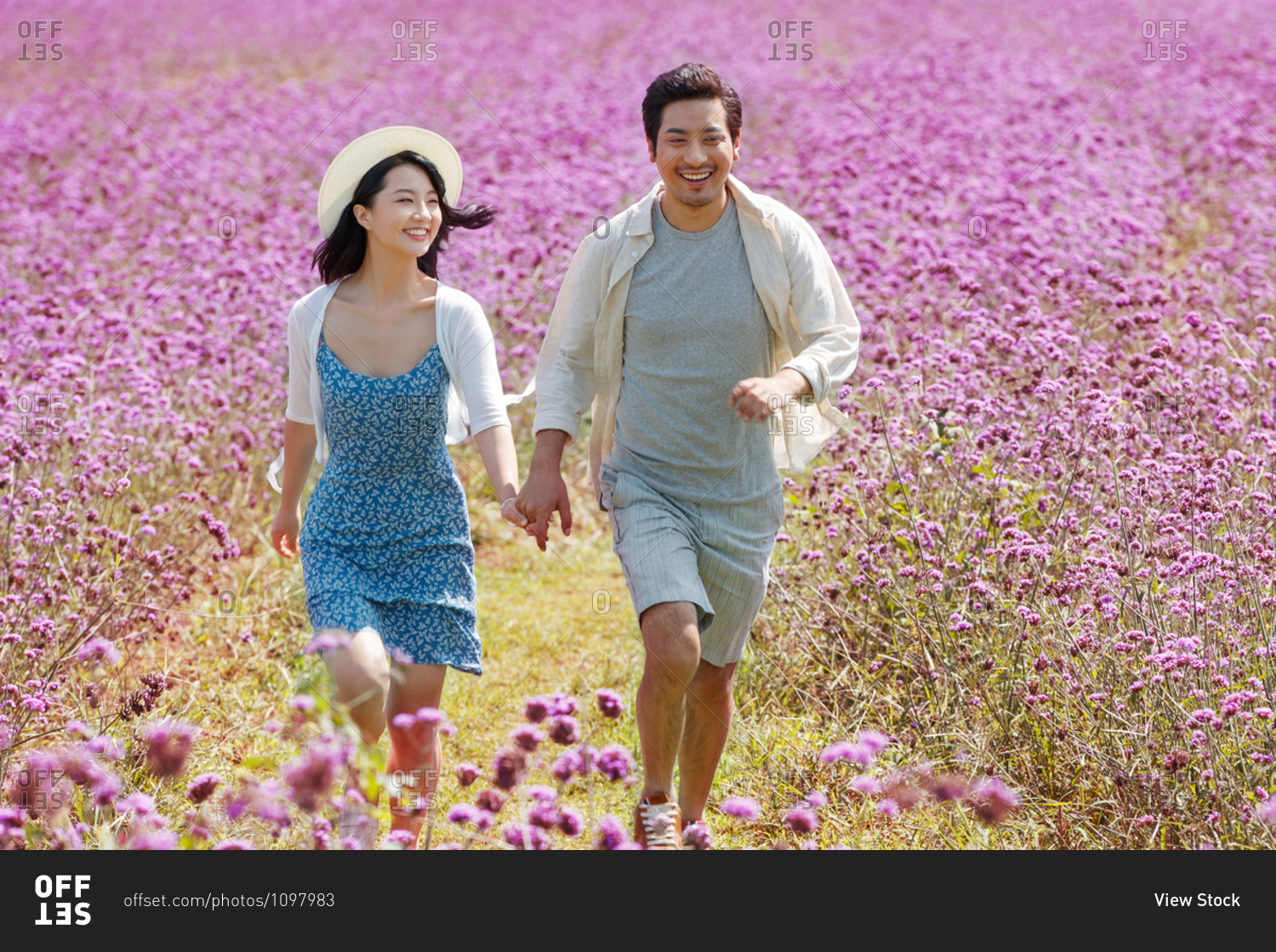 Beautiful young Asian couple running hand in hand in a filed filled with purple flowers