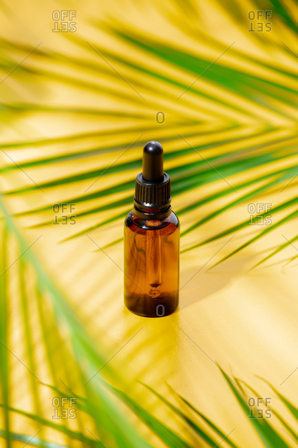 Bottle with palm leaves around on yellow background