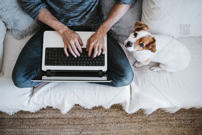 Man working on laptop while sitting by dog on sofa at home