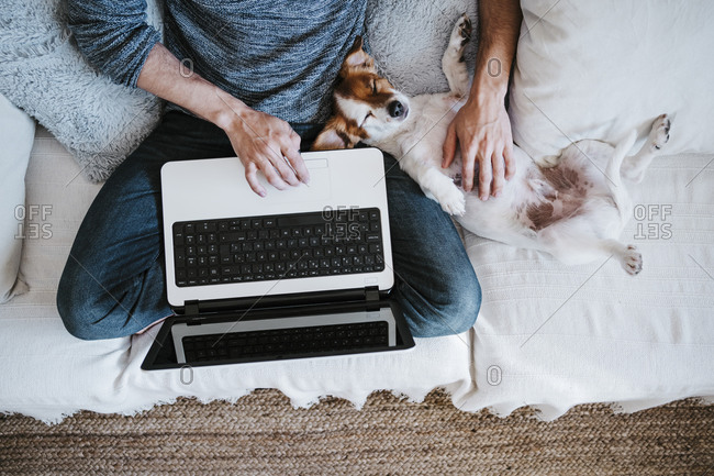 Man working on laptop while playing with dog sitting on sofa at home