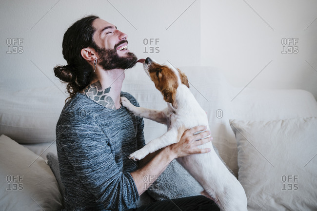 Dog licking man beard while playing on sofa at homes
