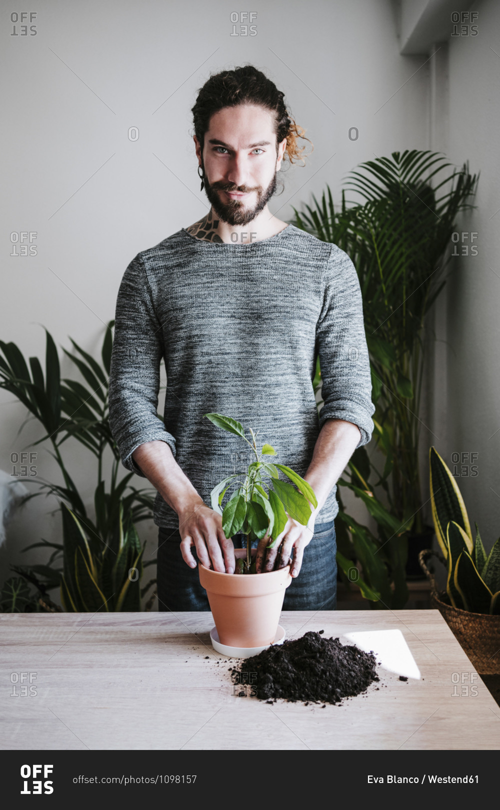 Young man planting avocado plant in flower pot while standing at home