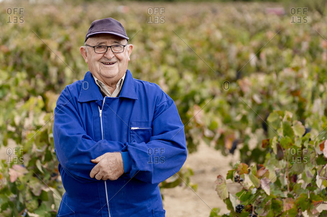 Smiling senior man with arms crossed against grape farm
